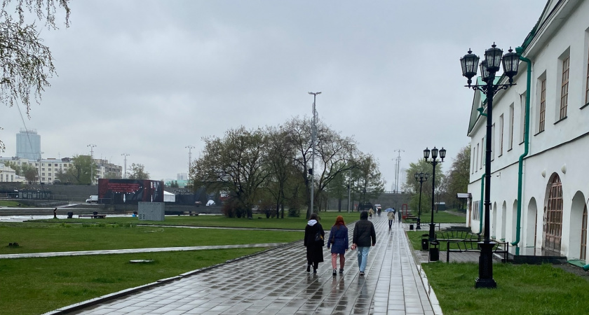 "Будет лить как из ведра": Вильфанд прогнозирует в Центральной России череду дождей и холода
