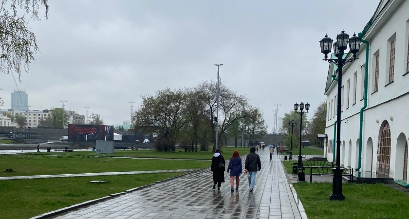 Фото к статье: "Будет лить как из ведра": Вильфанд прогнозирует в Центральной России череду дождей и холода