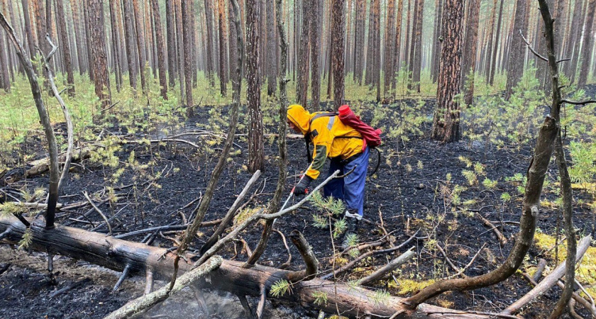 Иркутская область бросает все силы на борьбу с пожарами