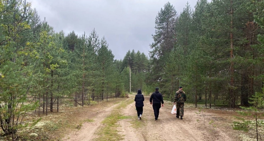 Фото к статье: Егерь рассказал, как легко избавиться от комаров и мошкары в лесу и на даче - ничего покупать не надо