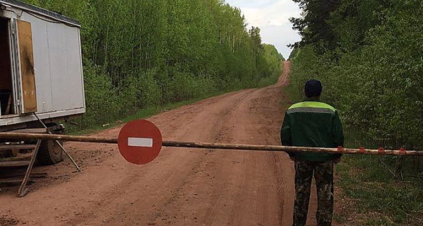 Фото к статье: Иркутская область запрещает походы в лес