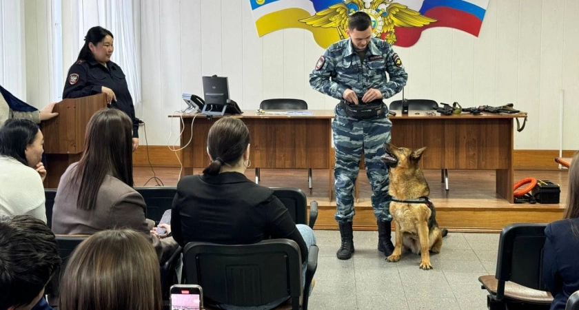Фото к статье: Как служебные собаки помогают блюсти порядок на транспорте Иркутской области