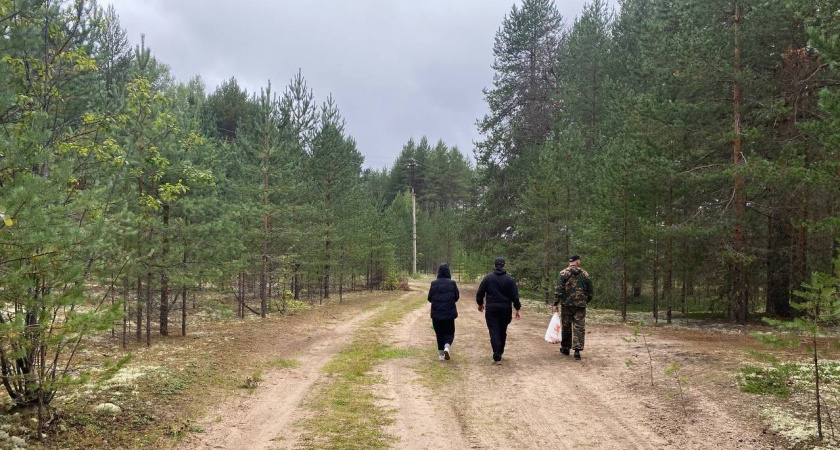 Грибников будут задерживать и штрафовать прямо в лесах: это строгое правило вводится с 1 июля