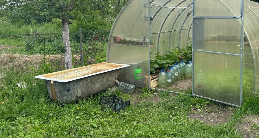 Всем соседям на зависть: делаем мини-пруд на даче из старой ванны