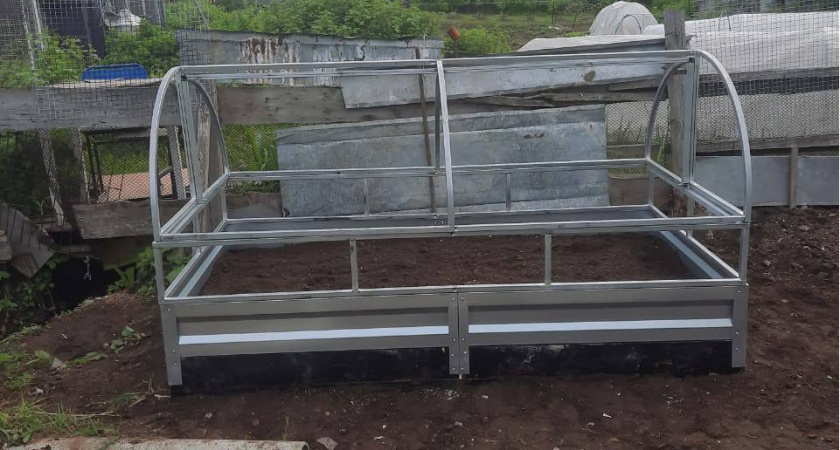 Свежесть до самого снега: эти культуры сажают в июле, чтобы радоваться до поздней осени