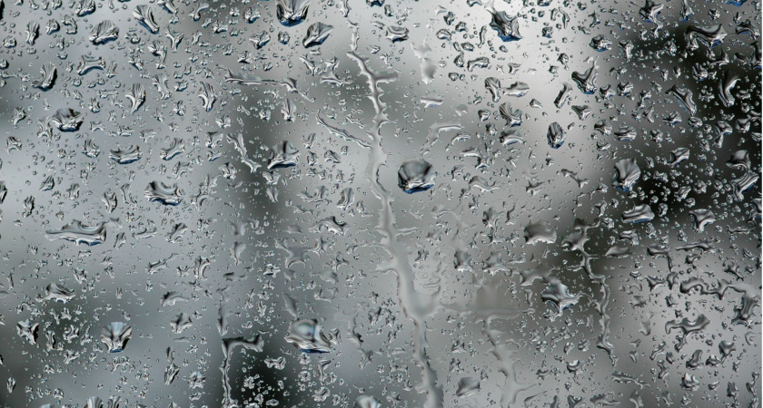 Огород в опасности: июльская зараза добирается до грядок - что происходит