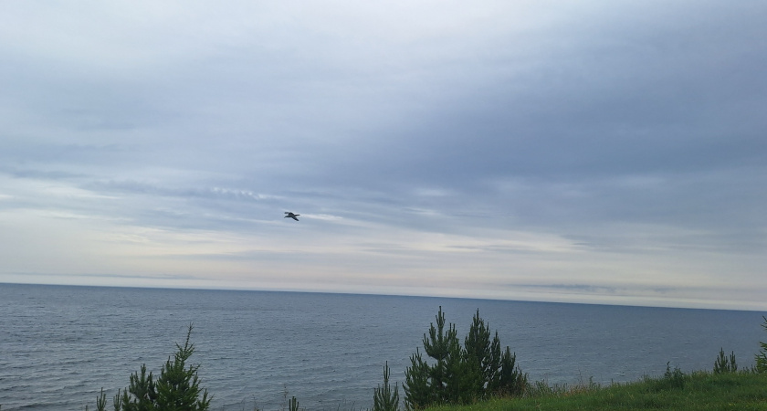 Жителей Иркутской области предупреждают о непогоде