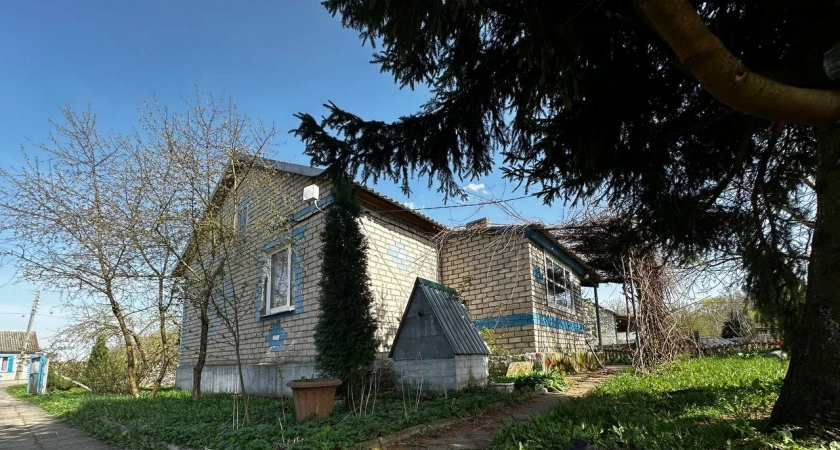 Поливаю на садовые дорожки — и «сжигаю» все сорняки: за день засыхают даже пырей и молочай — вот чем вооружайтесь