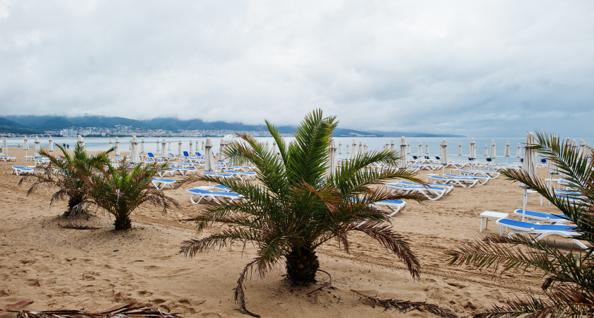 «В этот красивый ад больше ни ногой»: российские туристы поделились правдивым отзывом об отдыхе в Абхазии