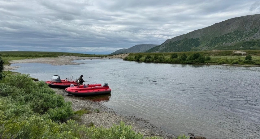 Клёвый цвет: рыбы видят приманки этих расцветок за 13 метров - мимо не проплывет ни одна