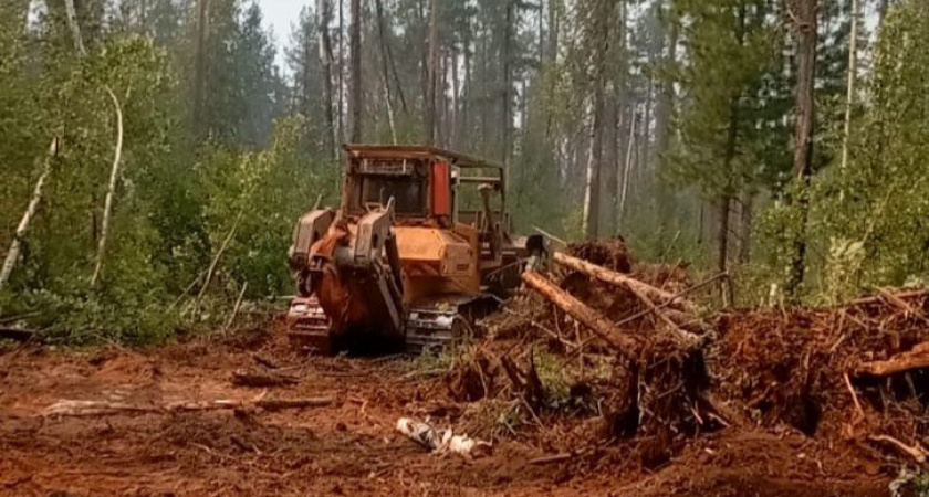  В Иркутской области проложили новую дорогу к победе над лесным пожаром