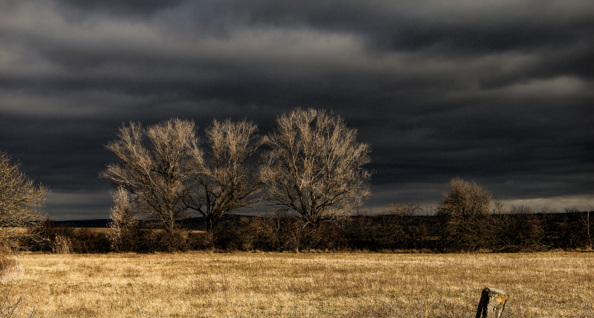 "Октябрь будет как страшный сон". Синоптики раскрыли новый прогноз на середину осени