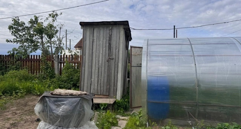 Сливную яму не откачиваю: заливаю 1 литр копеечной кислоты — через сутки ни вони, ни налета, ни грязи