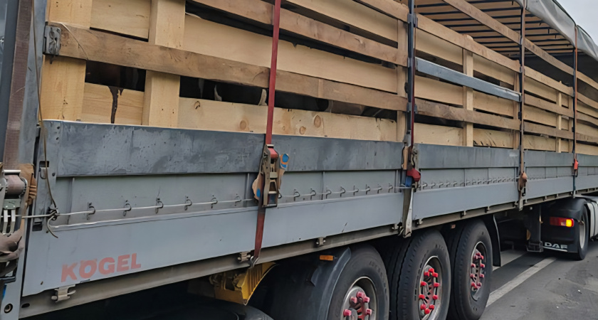 В Иркутской области пресекли незаконный вывоз телят