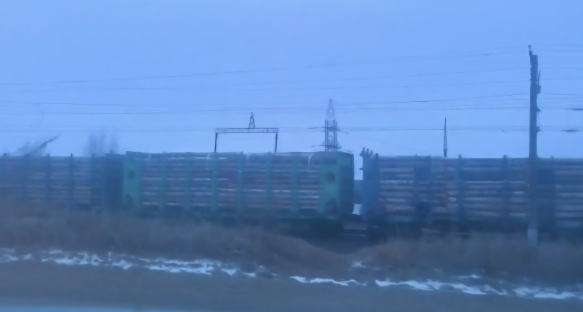 Иркутской Области пройдет суд по делу о контрабанде древесины на 621 миллиона рублей