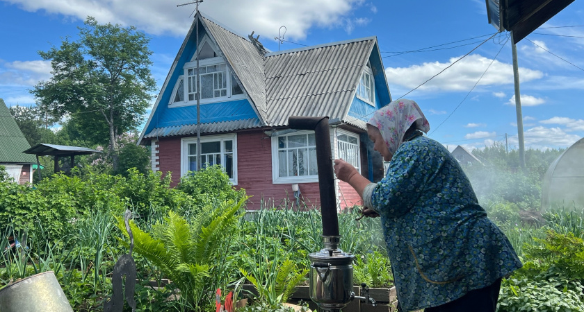 Коллега съездил в деревню к родственникам и приехал с пустыми руками: чего им, жалко что ли - за что его не угостили урожаем