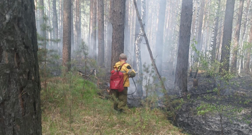 В Иркутской области лесники продолжают сражаются с огнём