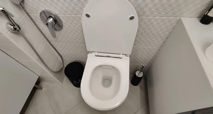 "Просто засыпь и ложись спать, а утром унитаз будет белее снега" – Проверяю совет знакомого сантехника