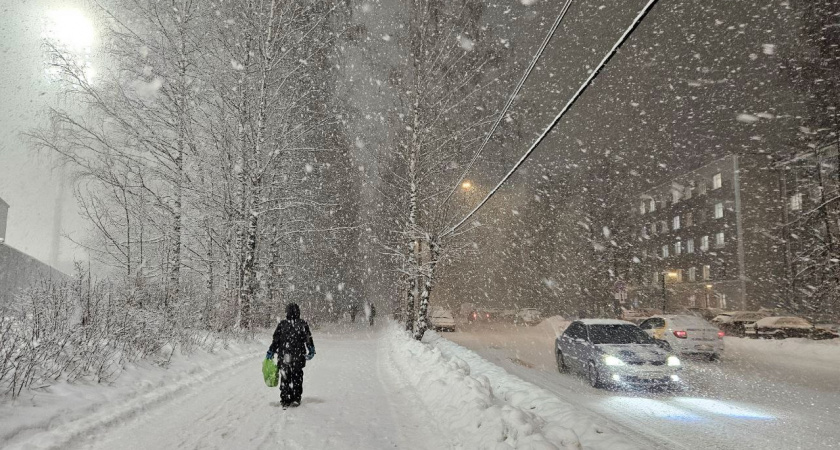 "Вся зима будет аномальная": Синоптики рассказали, к чему подготовиться