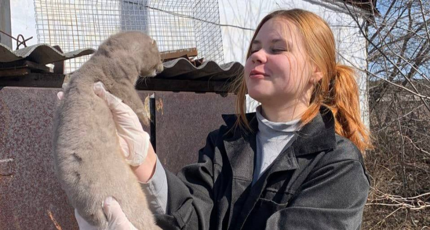 В Иркутской области студенты познают практику в полях и фермах