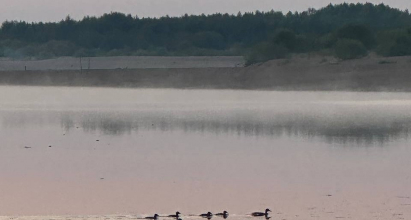В водах реки на территории Иркутской области зафиксировали маслянистые пятна