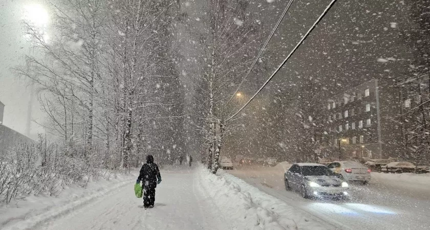 "Вся зима будет аномальная": Синоптики рассказали, к чему подготовиться
