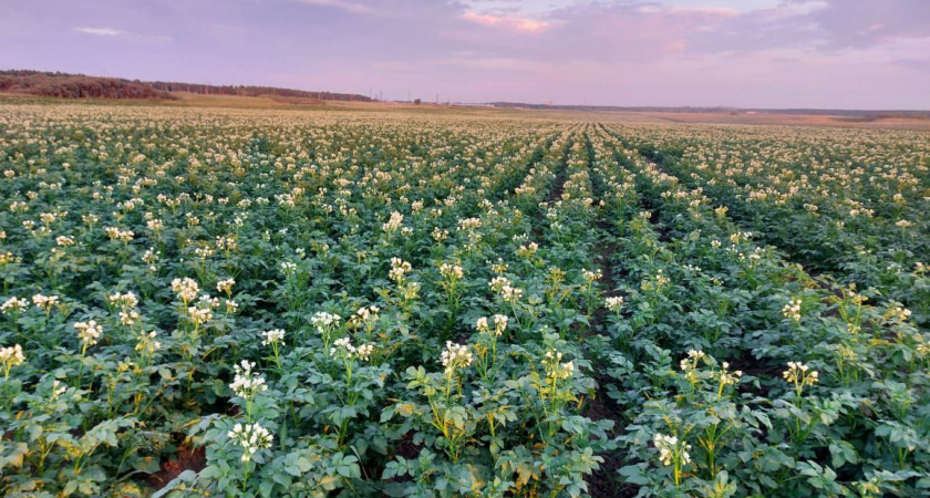 Иркутская область завоевывает мировые рынки агропромышленного комплекса