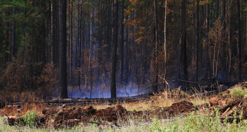 Усиление контроля за лесным фондом предотвращают дальнейшие возгорания в Иркутской области