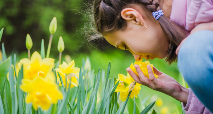Петуния останется в прошлом: сажаем такой многолетник — он цветет до морозов, яркий и ароматный