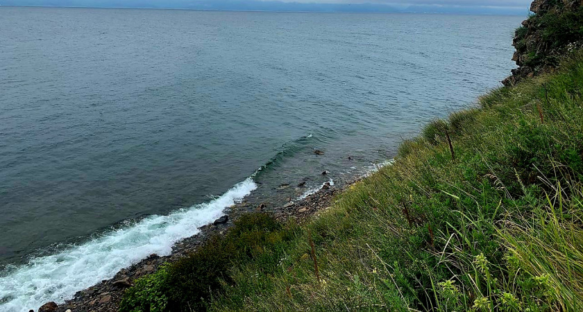 В Иркутской области прокуратура добилась изъятия и обращения в пользу государства бесхозных рыболовных сетей