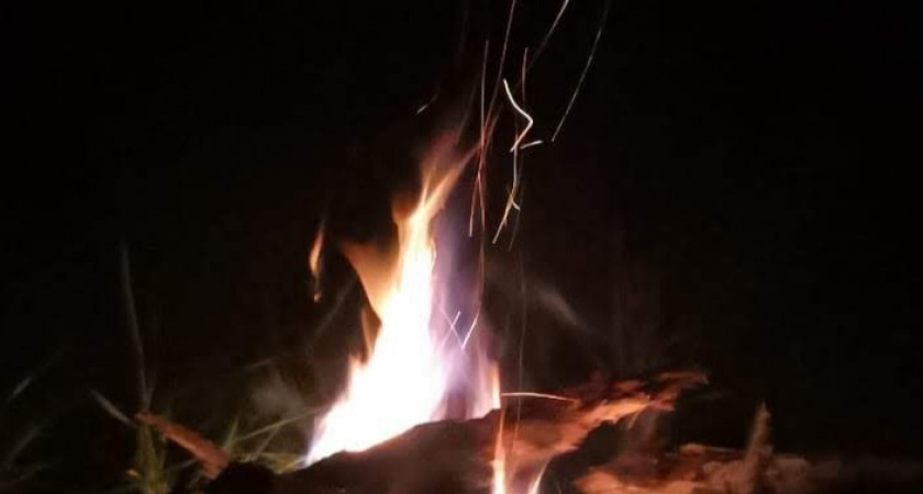 Житель Иркутской области возместит ущерб за лесной пожар