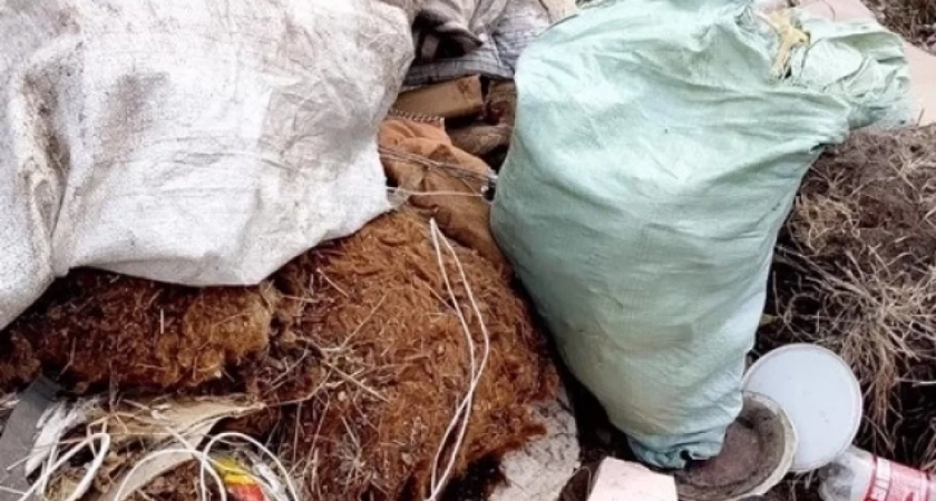 В Иркутской области обнаружили почти сто нелегальных свалок с биологическими отходами