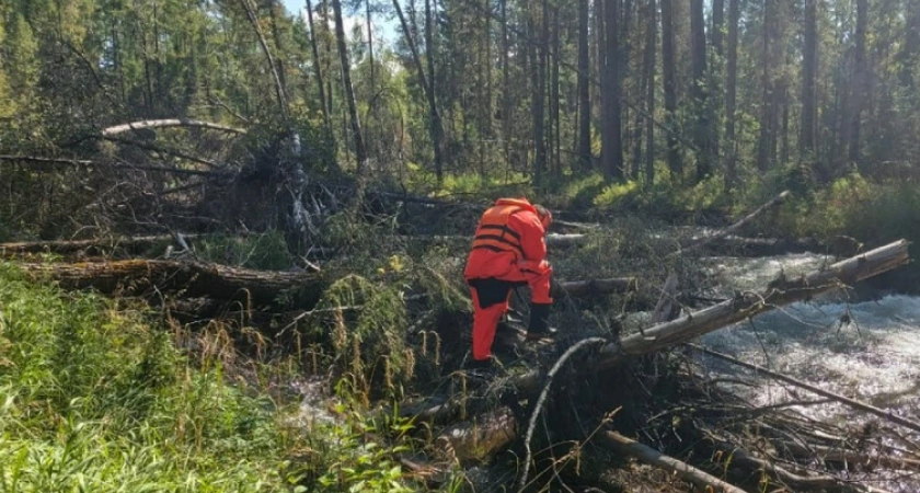 В Иркутской области сборщик ягод погиб при переходе горной реки