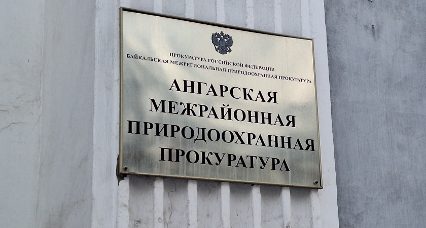 Лесозаготовка обернулась пополнением бюджета Усольского района на внушительную сумму