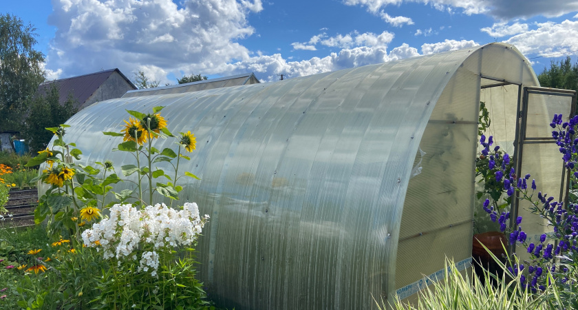 Занавески на входе в теплицу: простой способ, который работает уже 20 лет