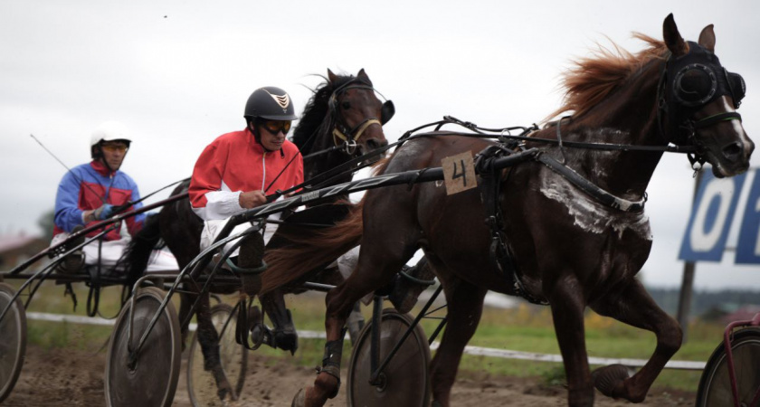 Иркутская область вновь провела конные скачки