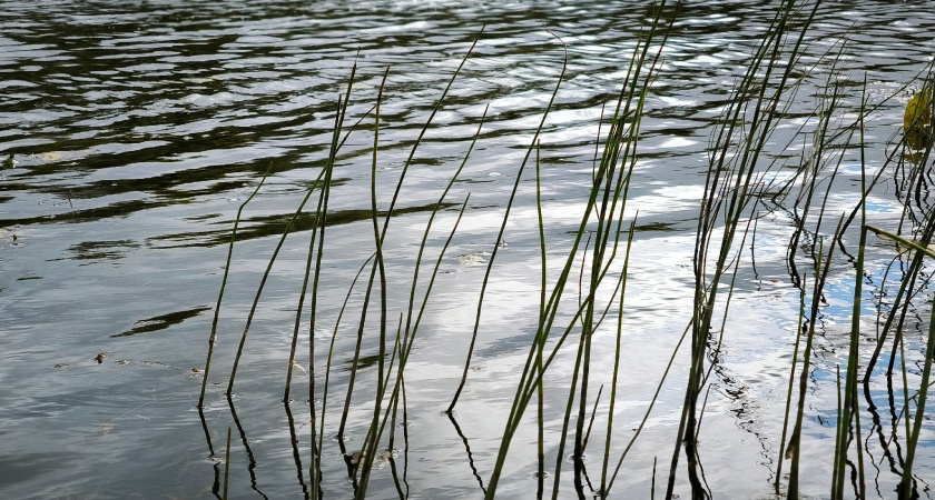 Жители села в Иркутской области ждут спасения после ливней