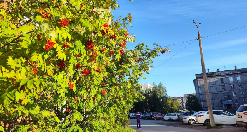 "Бабье лето" промчится мимо: Вильфанд дал ответ, как долго еще сохранится теплая погода