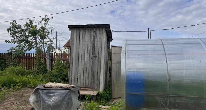 Заливаю ведро — и выгребная яма не переполняется: от ила не останется и следа — откачка не требуется годами