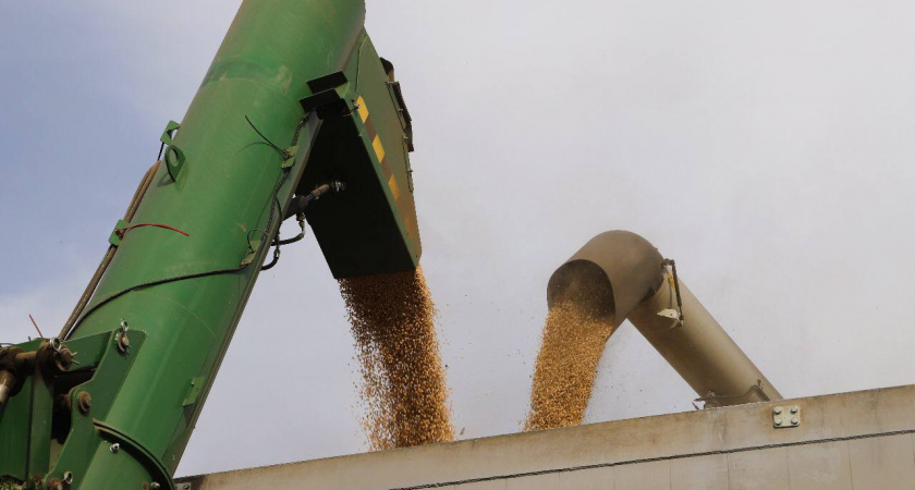 В Усольском районе в ходе уборочной кампании собрали более 17 тысяч тонн зерна
