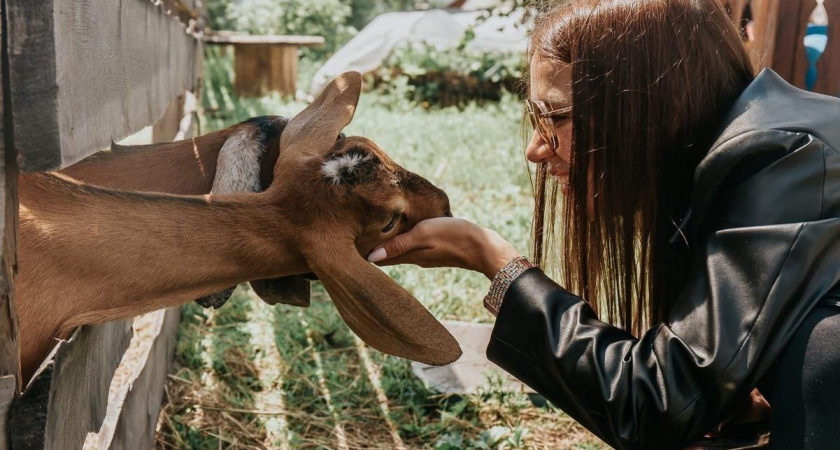 Сыроварня из Иркутской области поборется за национальную туристическую премию