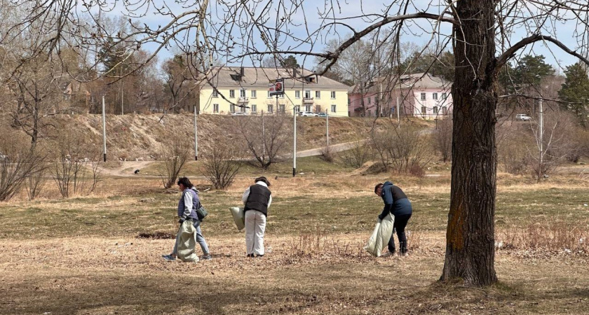 Жительница Иркутской области добилась уборки переполненной контейнерной площадки через интернет-сервис