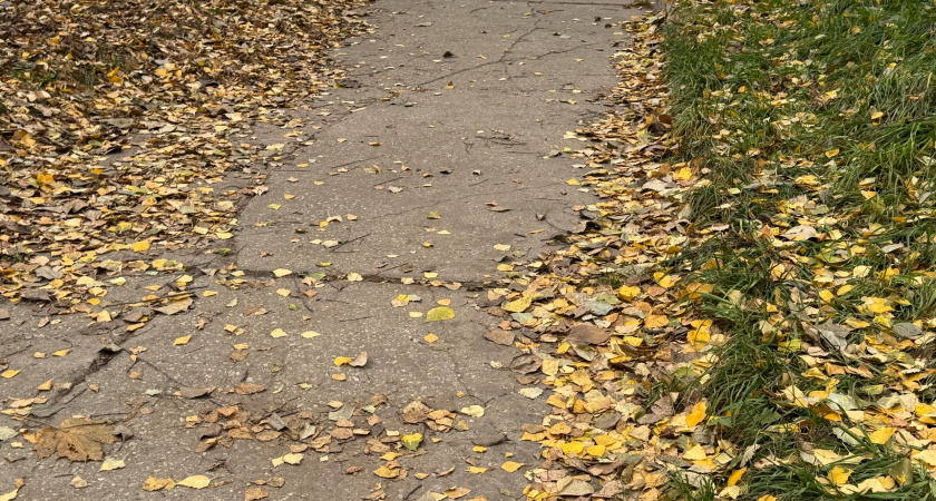 В Иркутской области 11 сентября прогнозируются заморозки до -5° и сильные дожди