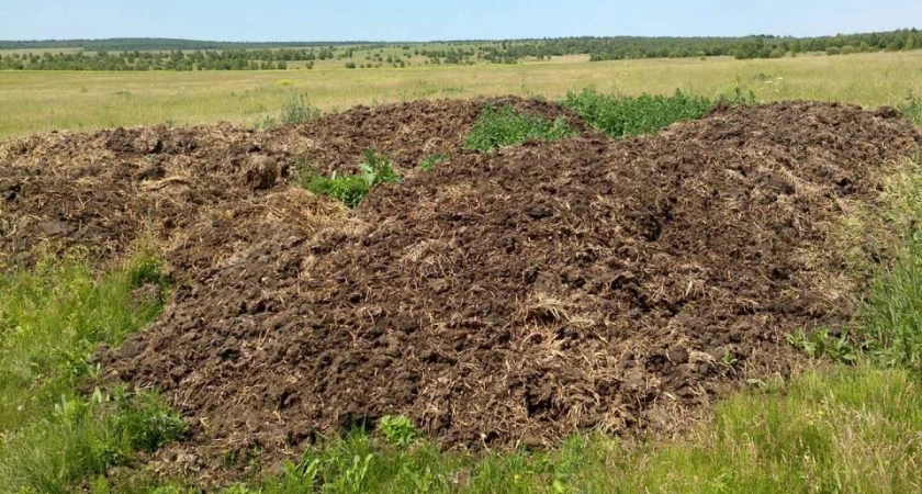 Фермер в Иркутской области незаконно складировал навоз на сельхозугодьях