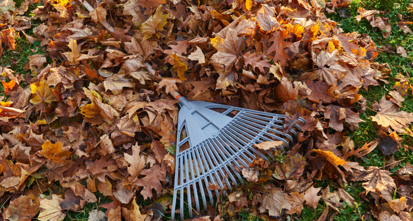 "Листья — золото для огорода": секреты приготовления компоста и гумуса к весеннему сезону