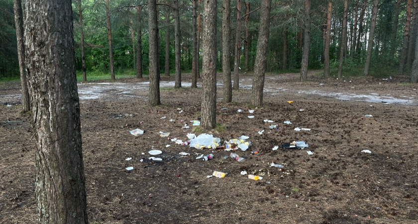 В Усольском районе убрали три машины мусора с берега реки возле Бурети