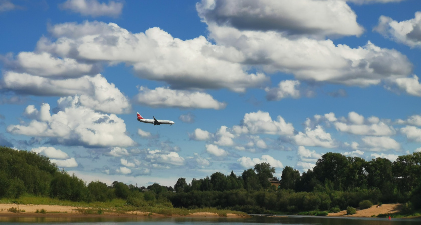 В Иркутске самолет прервал взлет после столкновения с птицами