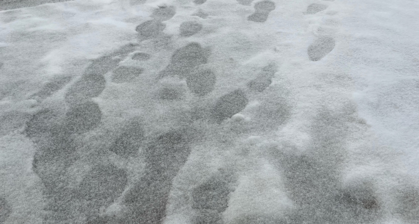 В Иркутской области 16 сентября объявили штормовое предупреждение из-за мокрого снега и шквалистого ветра