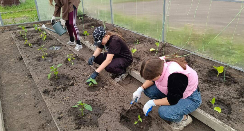 В Усольском районе трудоустроили 353 подростка на лето