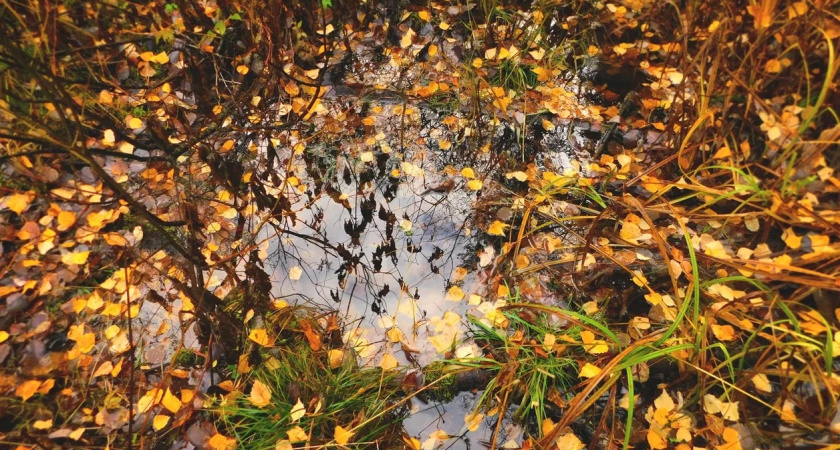В Иркутской области 17 сентября ожидаются заморозки до -6 градусов